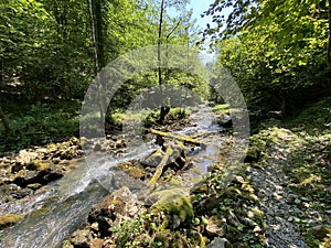 Small mountain river GerovÃÂica, Zamost - Region of Gorski kotar, Croatia / Mala gorska rijeka GerovÃÂica photo